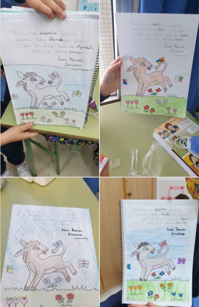 WhatsApp Image 2021-02-25 at 16.24.45 (1)