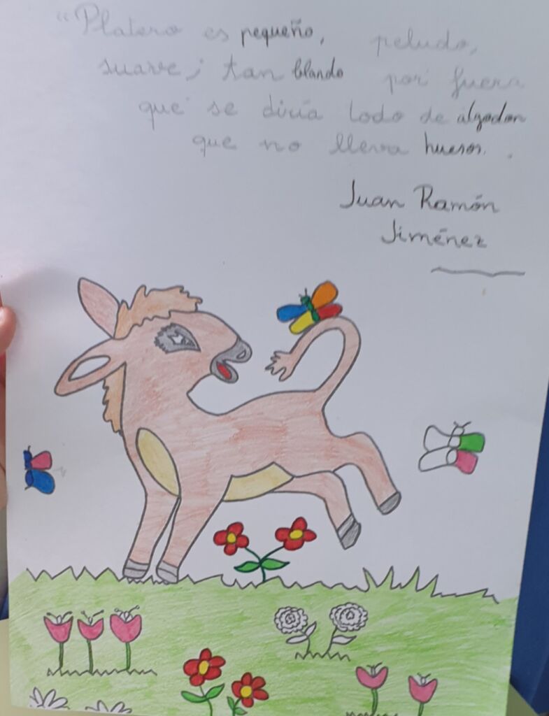 WhatsApp Image 2021-02-25 at 16.30.28