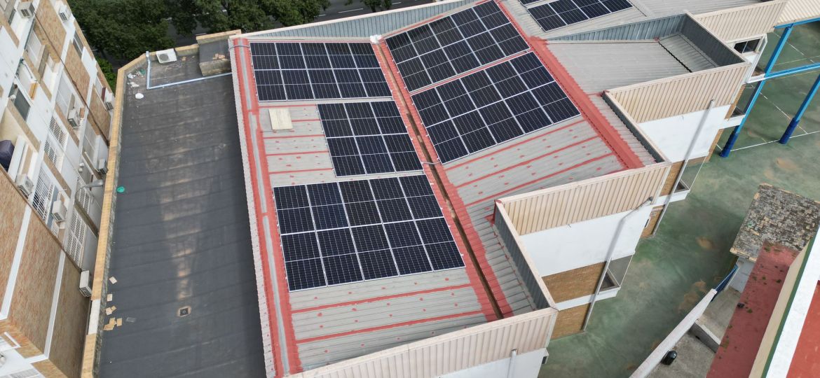 WhatsApp Image 2024-03-27 at 8.29.15 PM