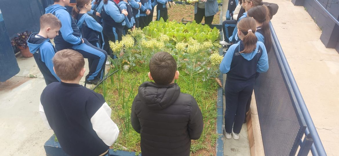 WhatsApp Image 2025-03-14 at 10.46.10 (1)