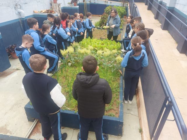 WhatsApp Image 2025-03-14 at 10.46.10 (1)