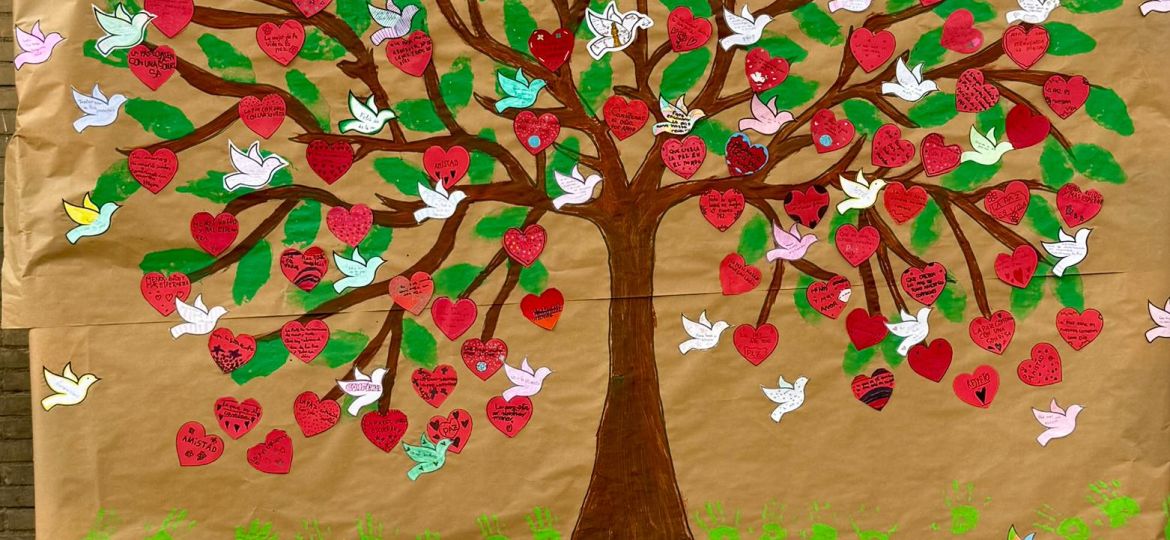 WhatsApp Image 2026-01-30 at 12.35.20