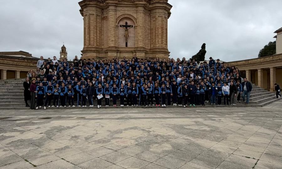 WhatsApp Image 2026-02-11 at 16.30.59